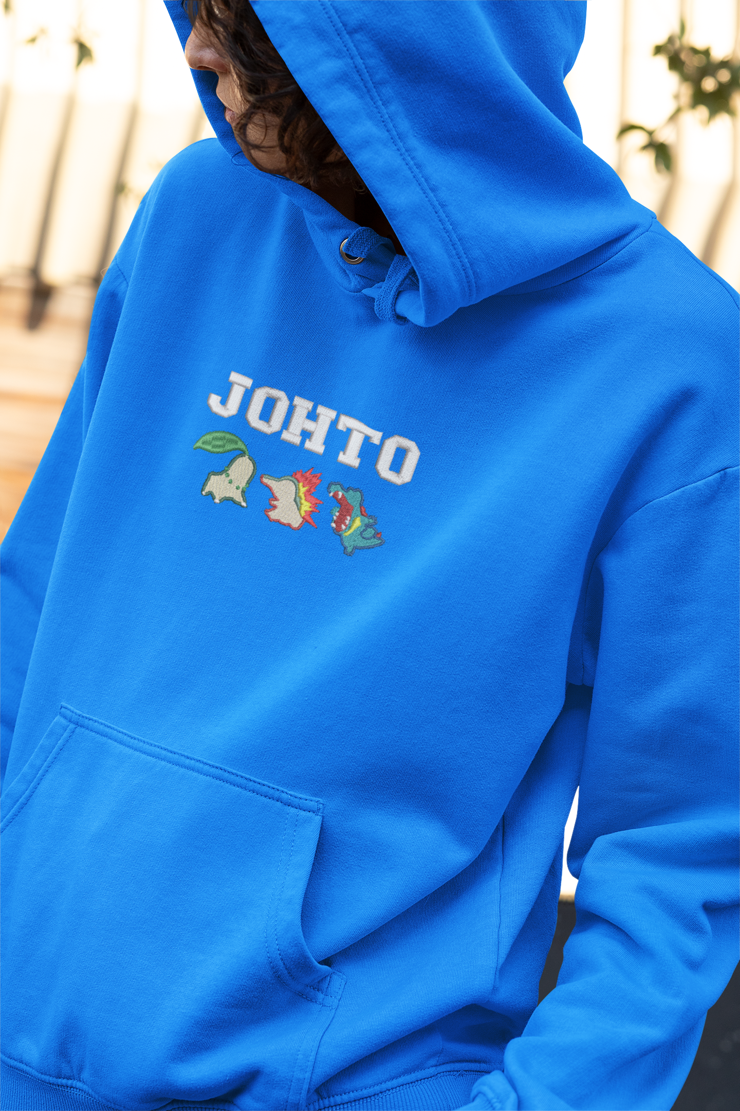 Johto Journey Down Your Memories Embroidered Hoodie | Traversing Levels