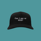 Can I See your 401K Embroidered Funny Dad Hat | Traversing Levels