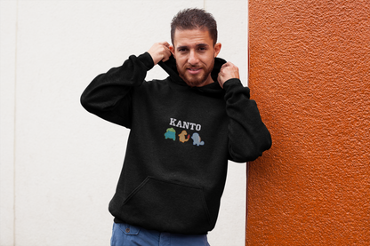 Kanto Journey Down Your Journey Video Game Inspired Embroidered Hoodie | Traversing Levels